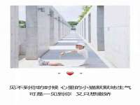 上海舜娟企业管理有限公司