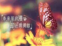 上海舜娟企业管理有限公司