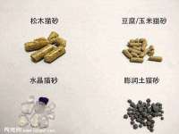 上海舜娟企业管理有限公司
