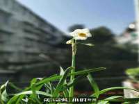 上海舜娟企业管理有限公司