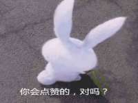 上海舜娟企业管理有限公司