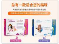 上海舜娟企业管理有限公司