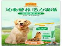 上海舜娟企业管理有限公司