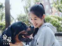 上海舜娟企业管理有限公司