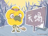 上海舜娟企业管理有限公司