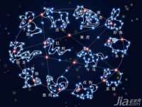 上海舜娟企业管理有限公司